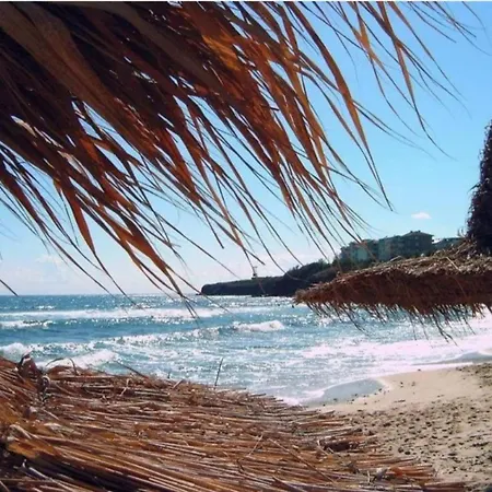 лукс морска перла *